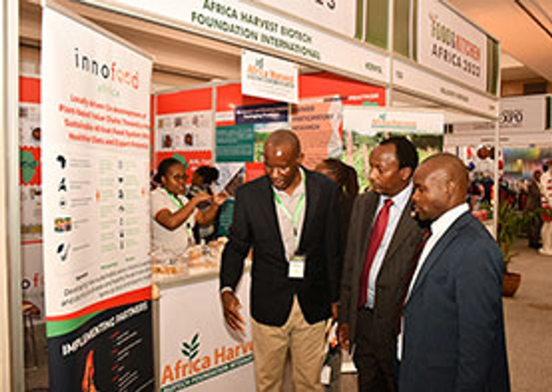 FOODAGRO - KENYA Revealed: B2B Opportunity - 2