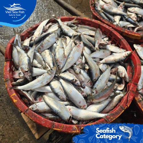 Meet the Top 4 Frozen Fish suppliers in Vietnam