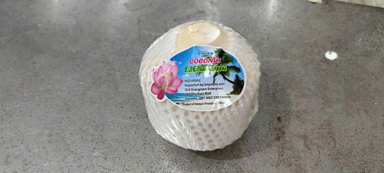Fresh Young Coconut Image 2