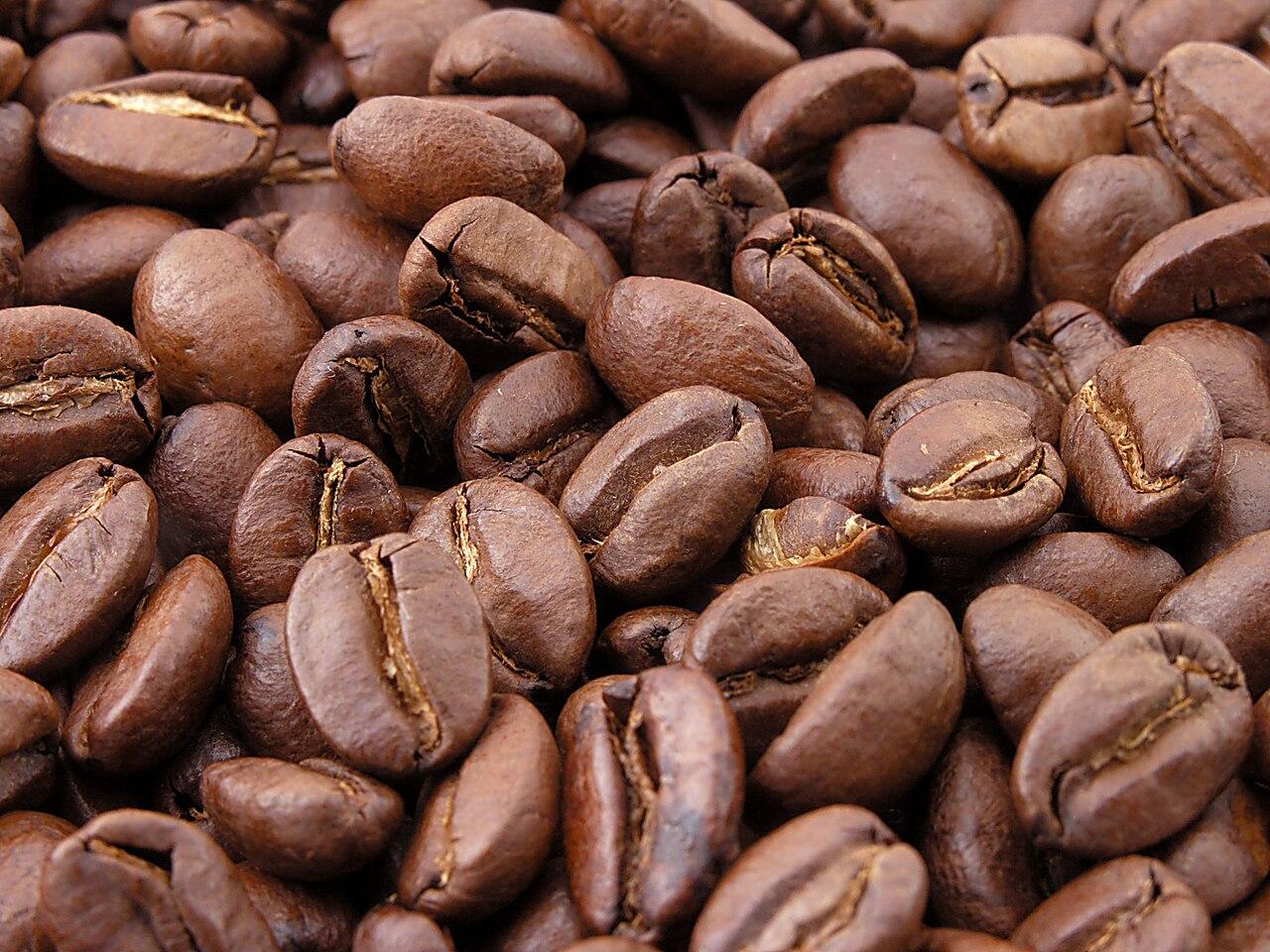 Discover the Top 10 Coffee Suppliers in Indonesia - 3