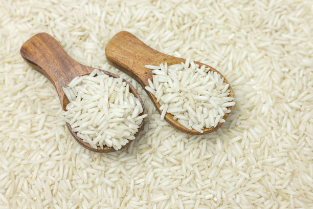Your Expert Guide to Procuring Top-Tier Basmati Rice: Top 6 Basmati Rice Suppliers in Germany in Week 11 of 2025