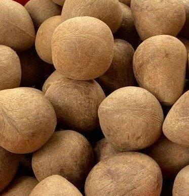 Dried Coconut