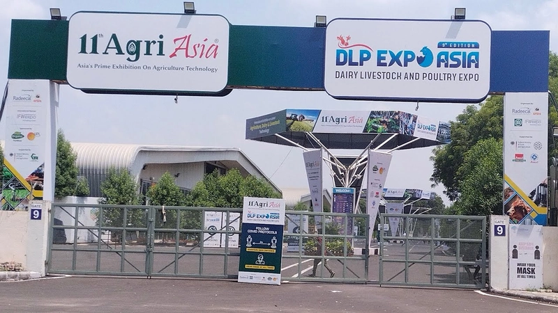 Inside DLP Expo Asia - Dairy Livestock and Poultry Expo: B2B Key Insights - 1