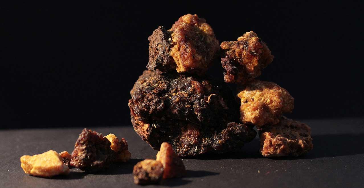 Opoponax Resin Image 3
