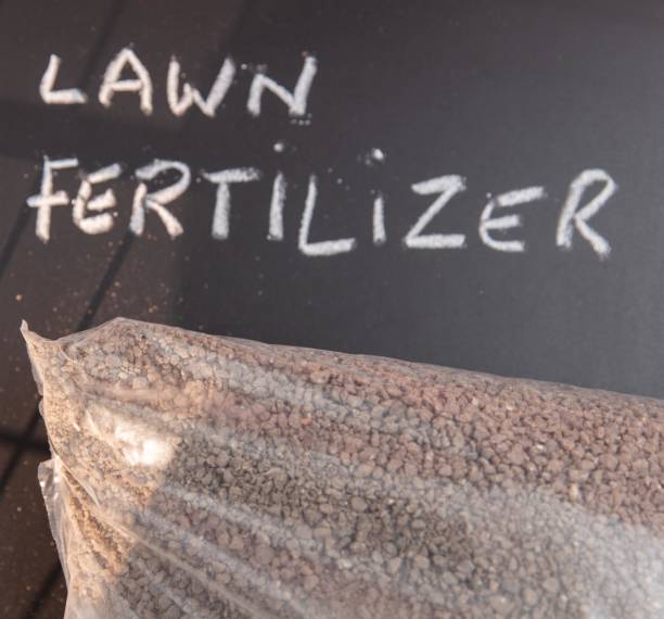 Your Expert Guide to Procuring Top-Tier Fertilizer: Top 4 Fertilizer Suppliers in Philippines in Quarter 3 of 2025