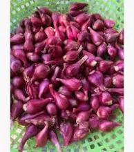 Dried Onion