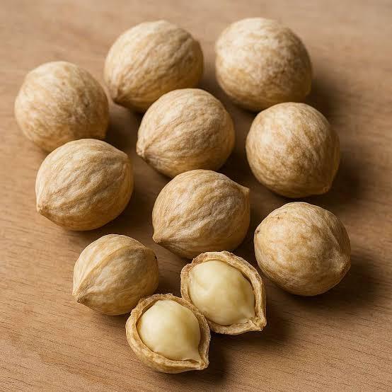Premium Indonesian Candlenut