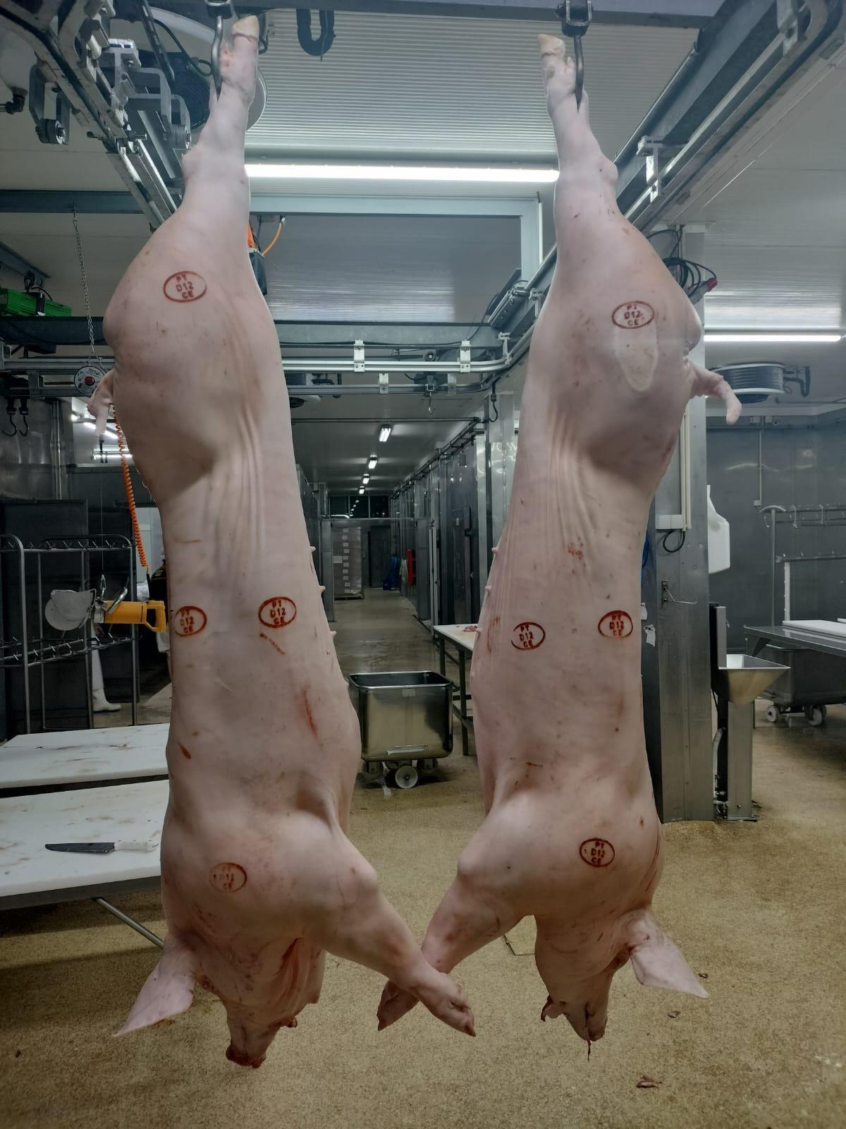 Frozen pork Freshness Level Frozen Features No Artificial Flavors, No Preservatives, Without Colourants