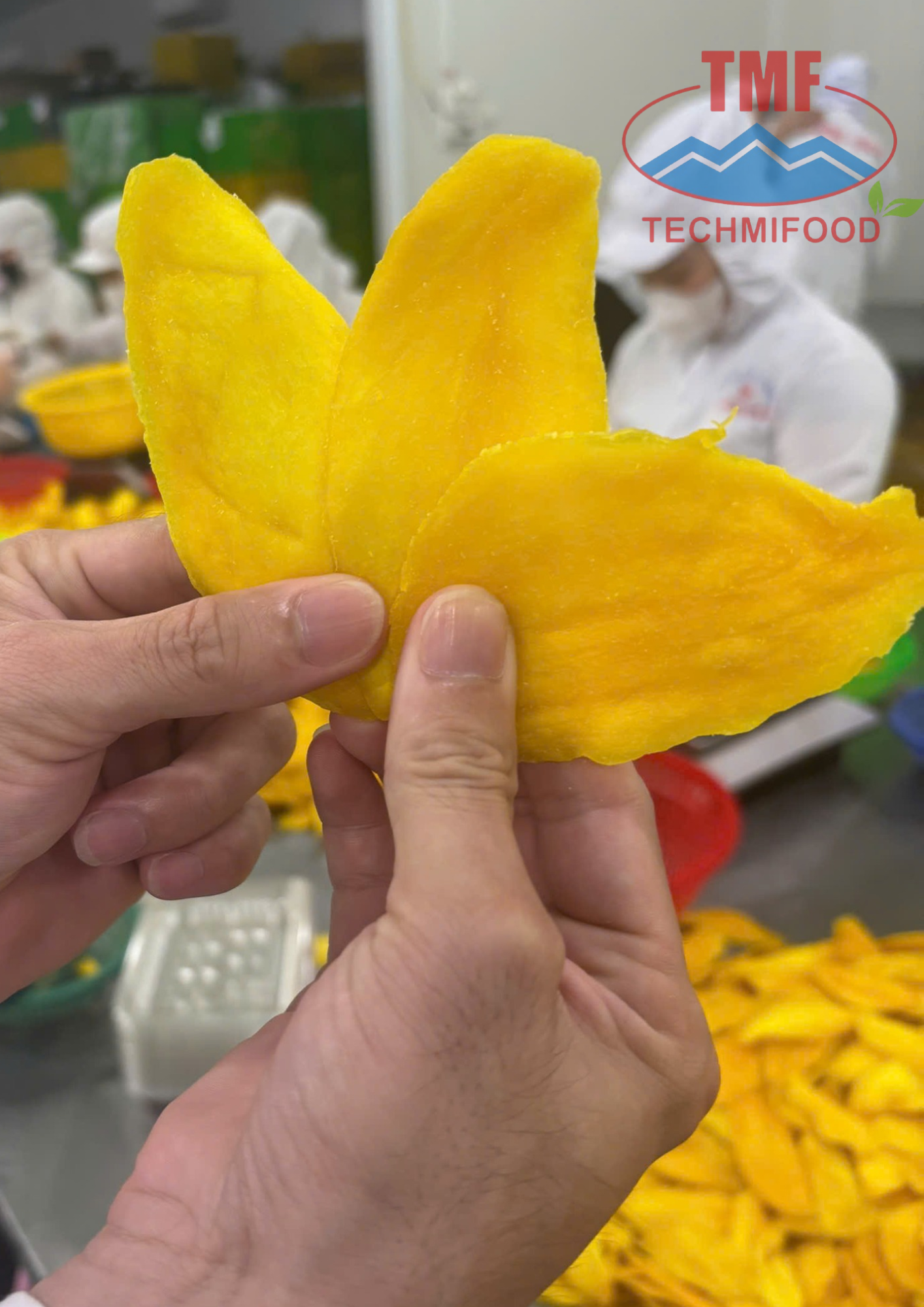 Chewy Mango Strips AD Process Water Preserved Tropical Fruit Snack Low Sugar 10 kg Bulk Pack Vietnam Export Supplier TEC – product photo, product description