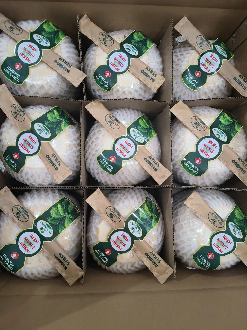 Fresh Young Coconut Image 1