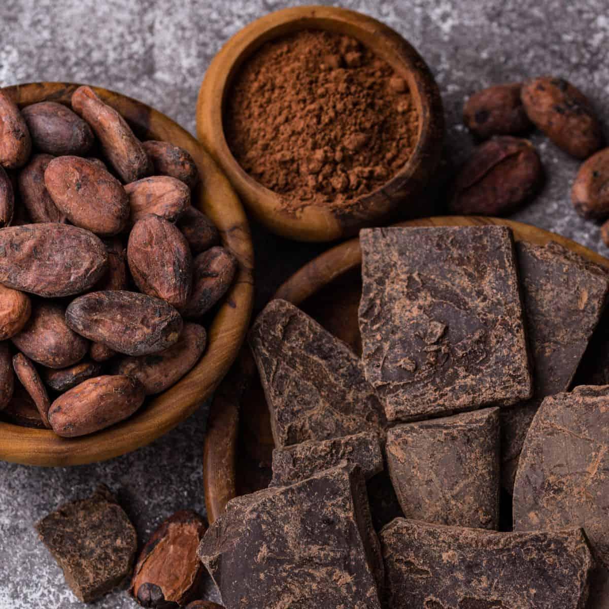 Discover the Top 6 Cocoa Powder Suppliers in South Africa - 2