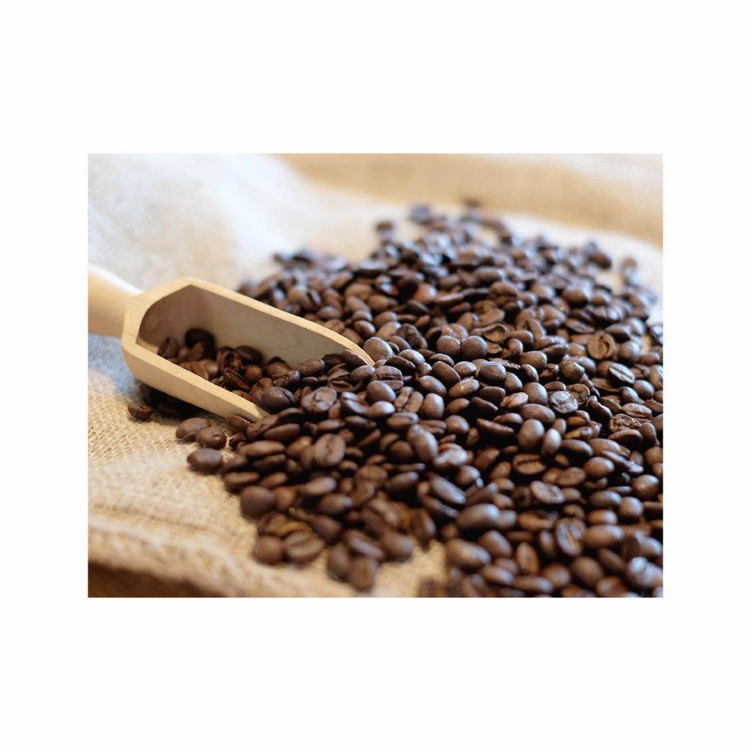 Bulk Arabica coffee beans arranged for discount price procurement and reliable stock