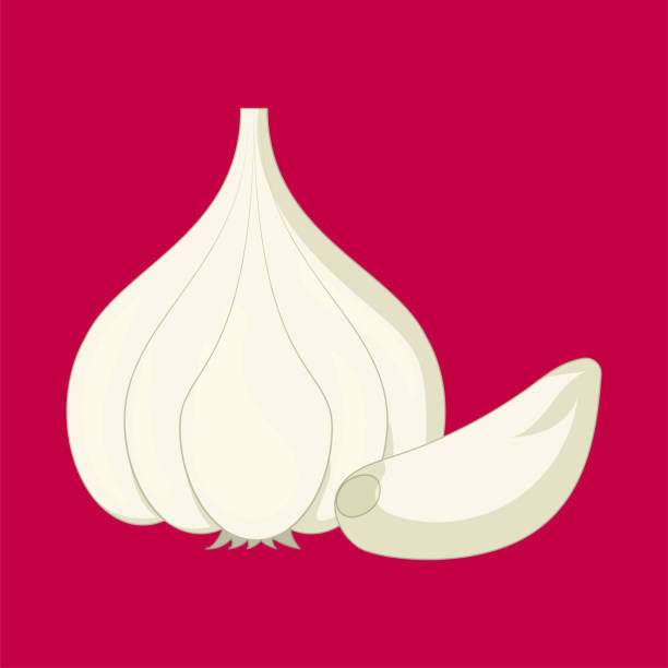 Top 4 Garlic Suppliers in Indonesia in Quarter 3 of 2025