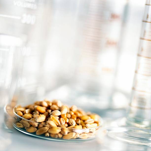 Extract, Austria, Top 4 Extract Suppliers in Austria in Quarter 3 of 2025