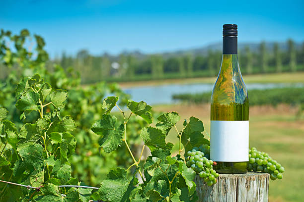 Your Expert Guide to Procuring Top-Tier Wine: Top 6 Wine Suppliers in Vietnam in Year 2025