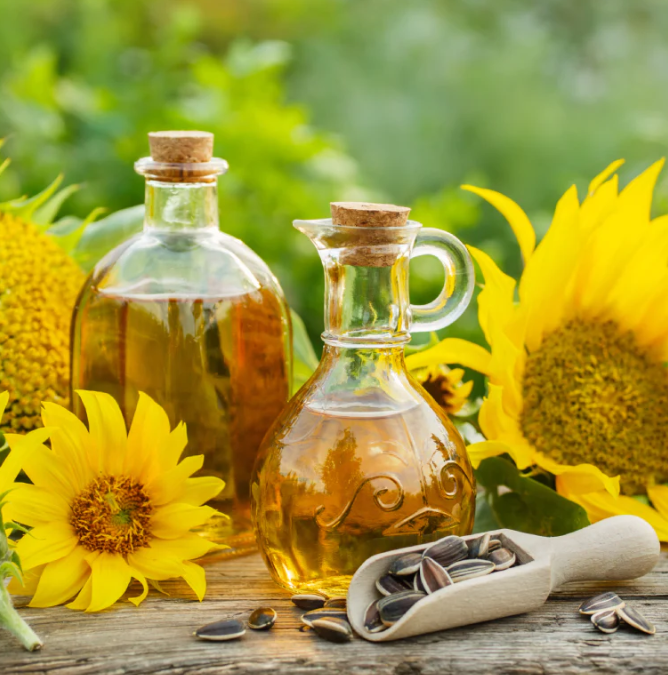 Organic Refined Sunflower Oil High Quality Edible Oil with 99% Purity in Glass Bottle for Cooking and Frying at Very Cheap Price