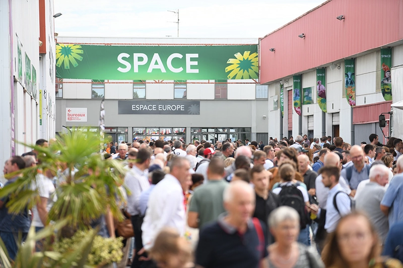Space Spotlight: B2B Essentials - 1