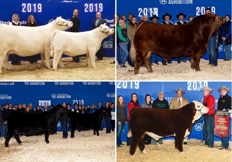 Discover Canadian Western Agribition: B2B Event Guide - 2