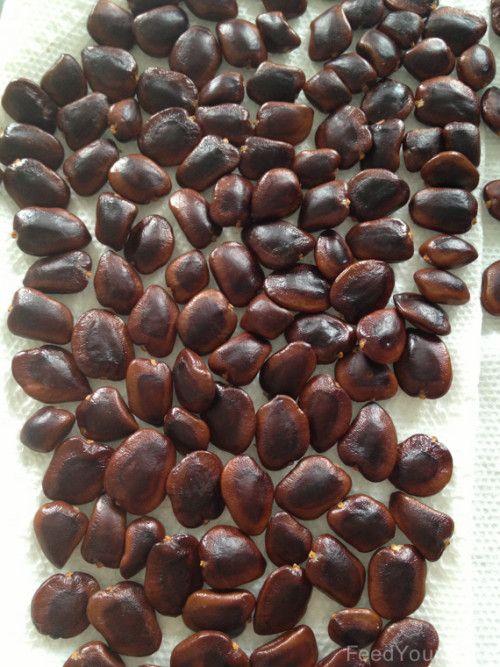 Dried Tamarind Seeds