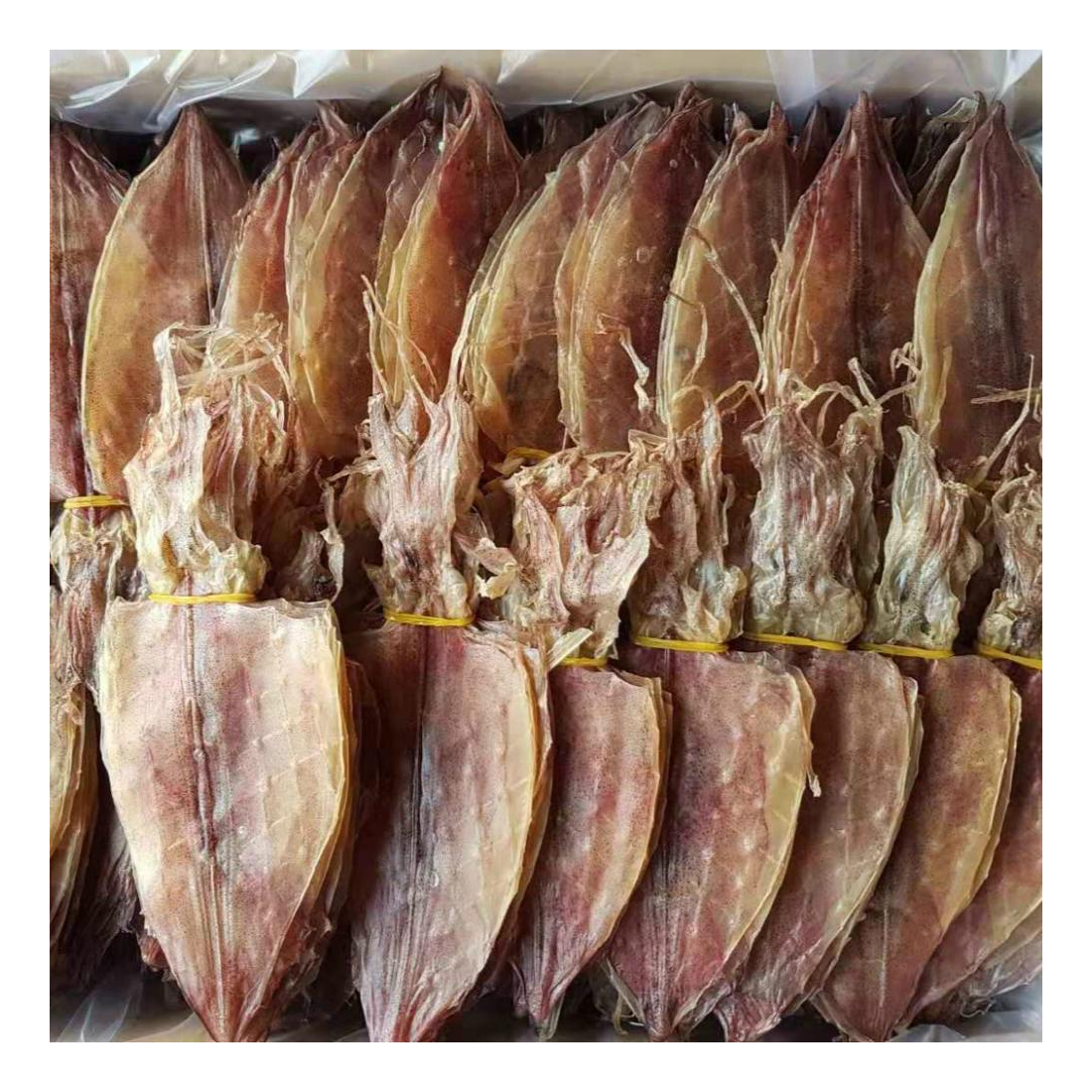 Best Selling Quality Dried Squid from Vietnam Sea Dried Squid With Cheapest Price Asia Cuttlefish