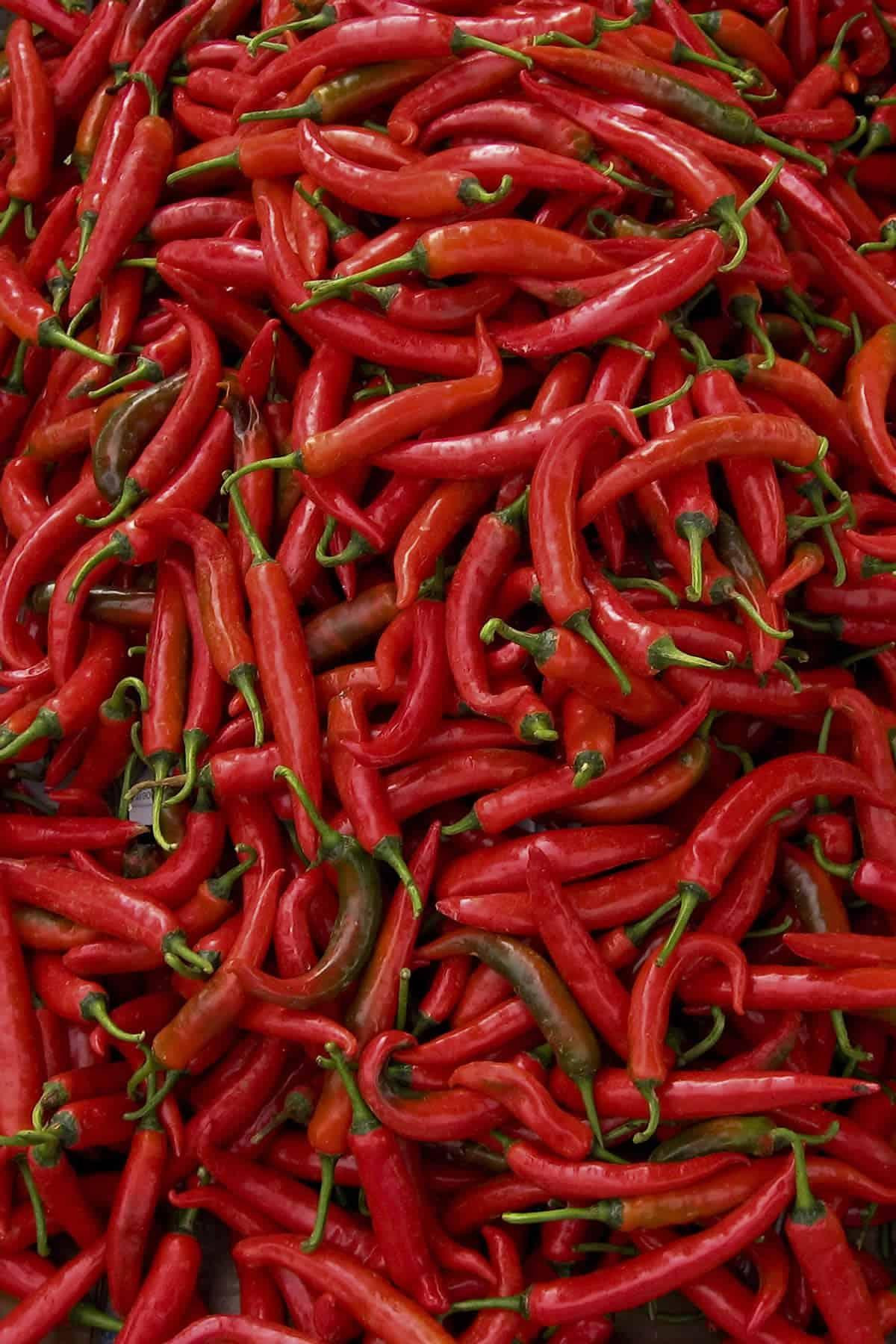 Frozen Red Chili Hot Chili Pepper