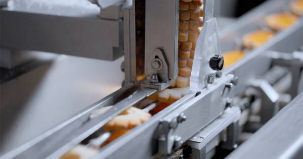 A Comprehensive Guide to Sourcing High-Quality Agri Food Processing Machinery Equipment Food Processing Machinery: Top 3 Suppliers in Malaysia in Quarter 3 of 2025