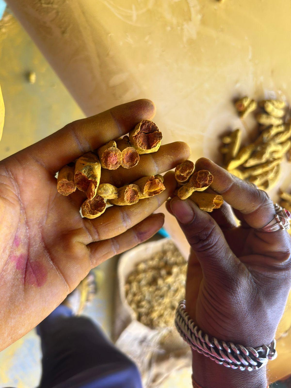 Top 9 verified Turmeric suppliers in India - 2
