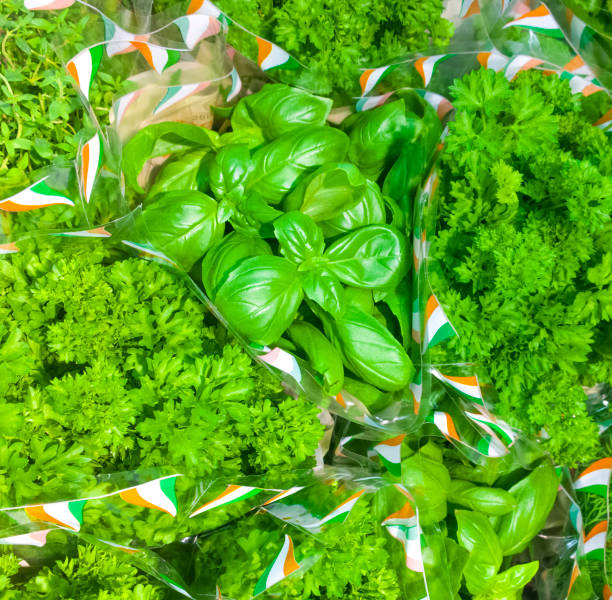 Top 10 Herbs Suppliers in Switzerland in November 2025: What Buyers Need to Know Now