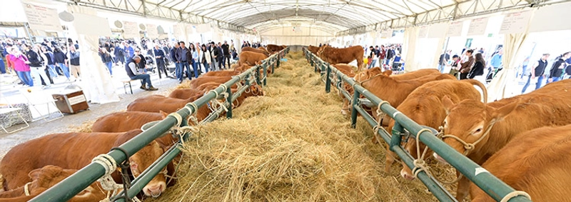 Inside Agriumbria: B2B Key Insights - 1