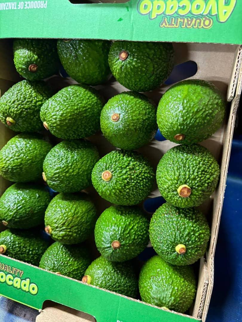 premium hass avocado