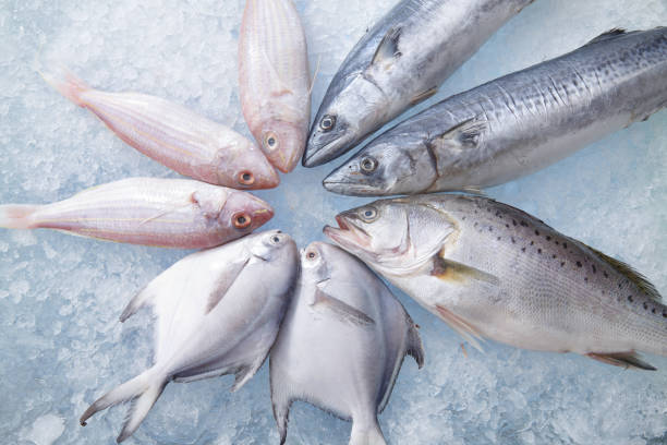 Top 10 Fresh or Chilled Fish Suppliers in Bangladesh in Quarter 3 of 2025