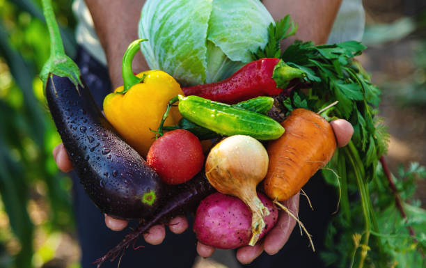 A Comprehensive Guide to Sourcing High-Quality Vegetables: Top 4 Vegetables Suppliers in Bangladesh in Quarter 3 of 2025