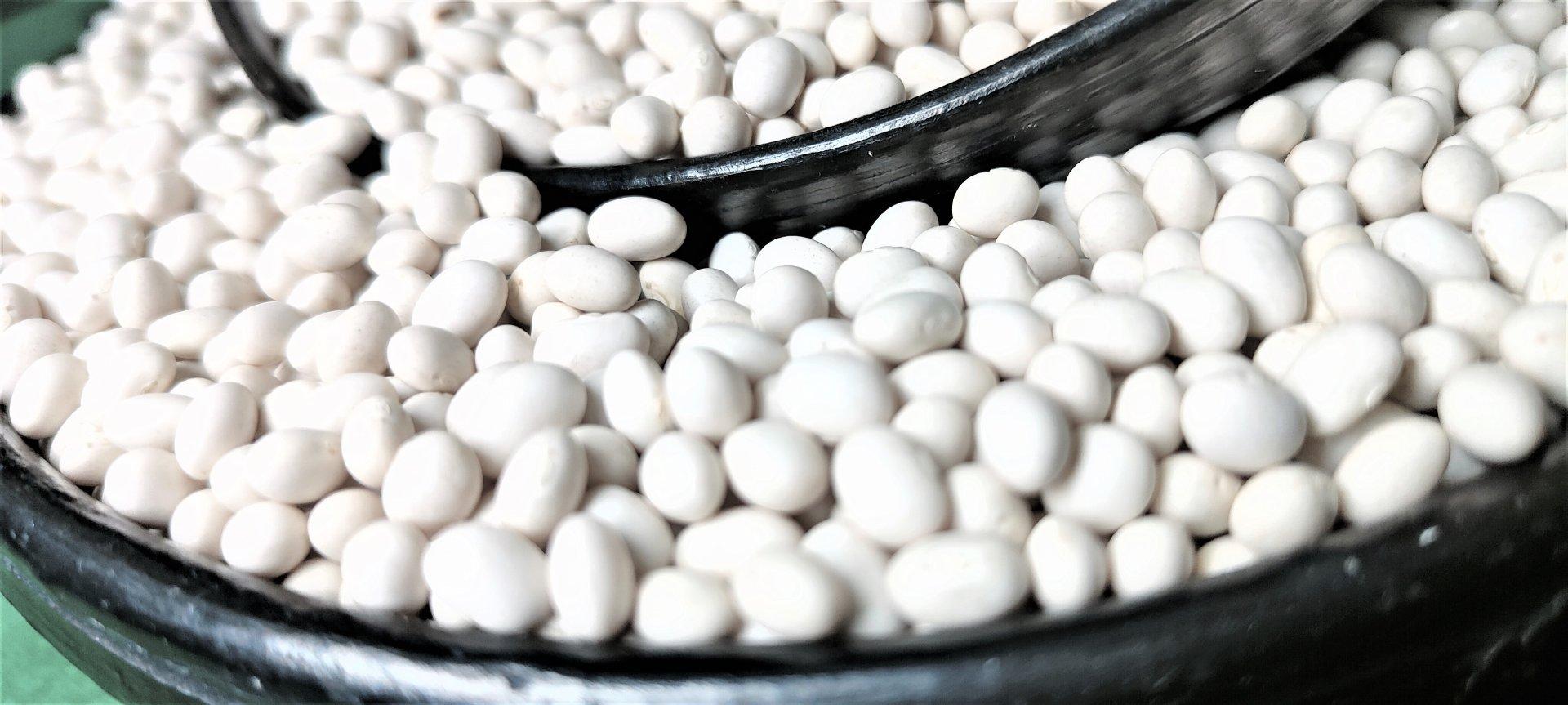 2024 Ethiopian Origin White Pea Beans Hand-Picked Round shape Wholesale Dried New Crop Available in Bulk Quantity