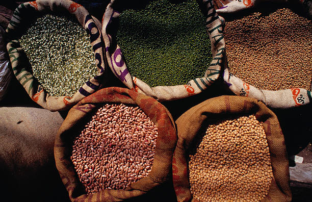 A Comprehensive Guide to Sourcing High-Quality Beans: Top 4 Beans Suppliers in India in September 2025