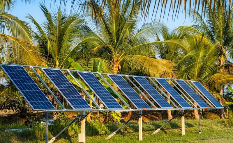 Inside Caribbean Electric and Solar Expo: B2B Key Insights - 1