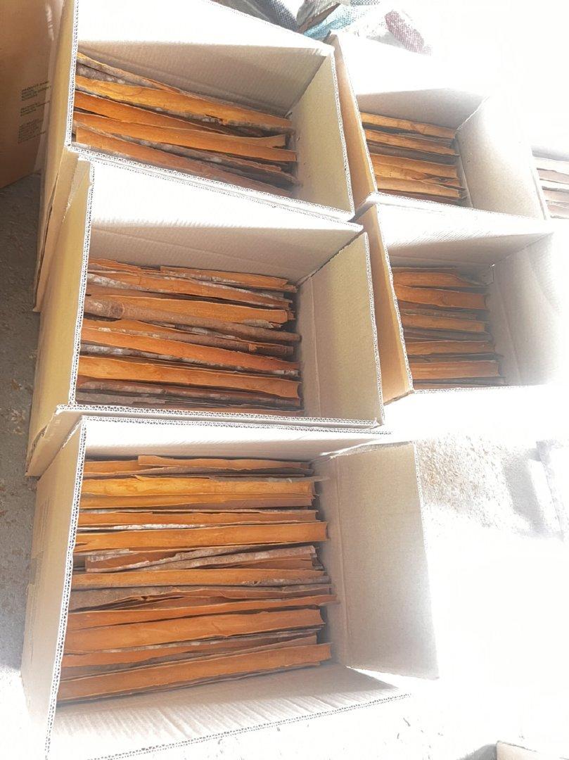 Split Cassia Image 1