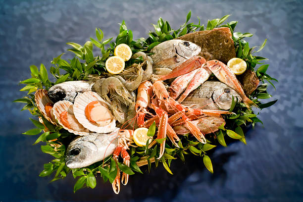 Top 5 Seafood Suppliers in Netherlands in August 2025: Market Insights and Export Analysis