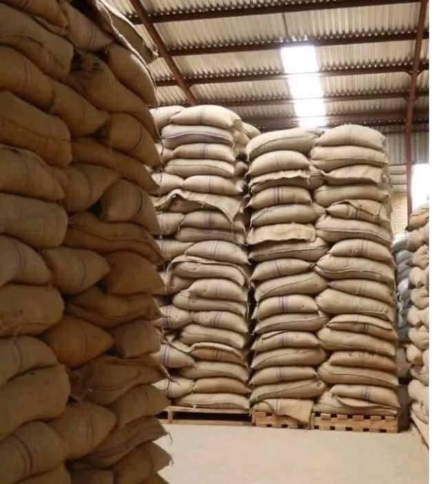 Arabica Beans - 2