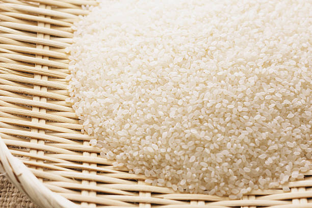 Top 6 Fragrant Rice Suppliers in Brazil in July 2025: Urgent Market Update