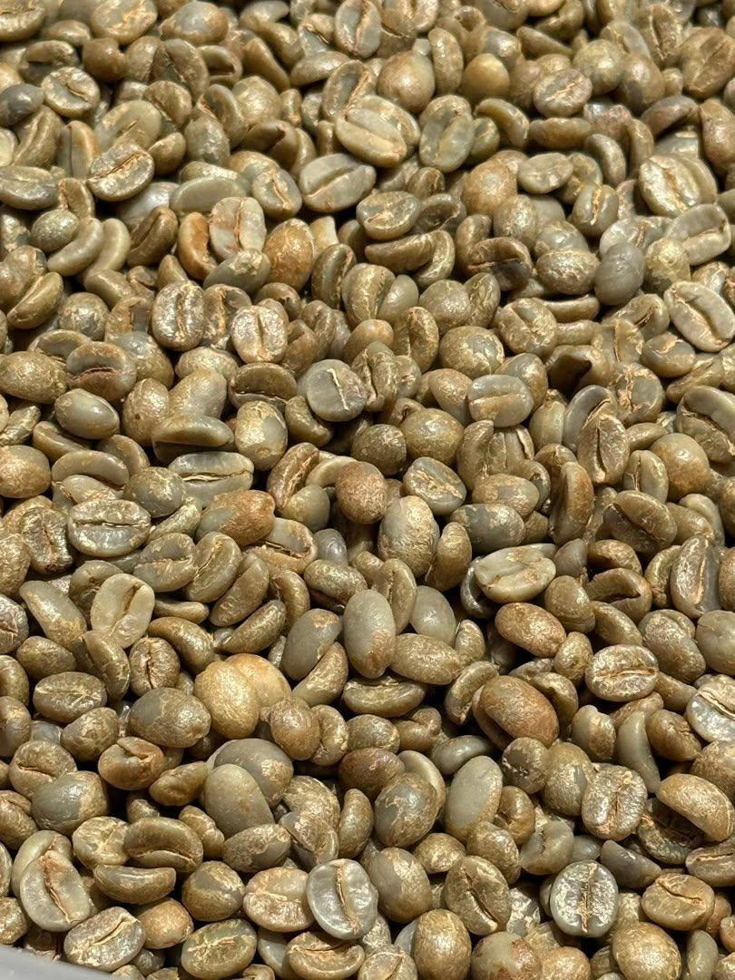 Premium Green Cofffe Beans Available Organic Yes Decaffeinated No Degree of Processing Raw Bean Type Arabica, Robusta