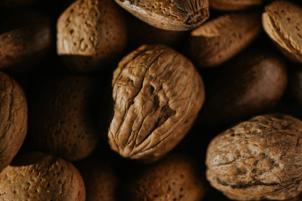 Top 9 Nut Suppliers in Spain in Quarter 3 of 2025: Market Data, Trends & Expert Picks