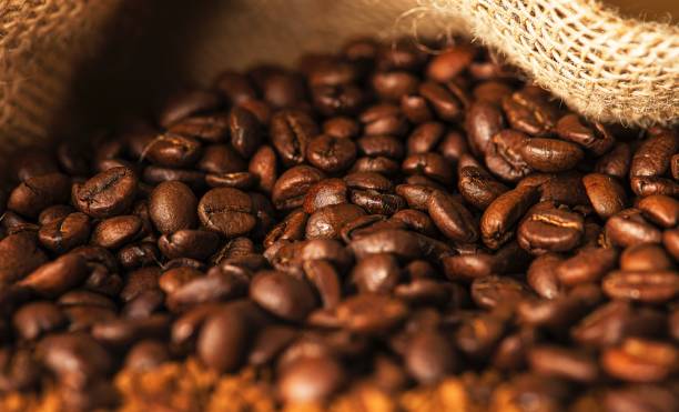 Top 8 Coffee Beans Suppliers in China in Quarter 3 of 2025