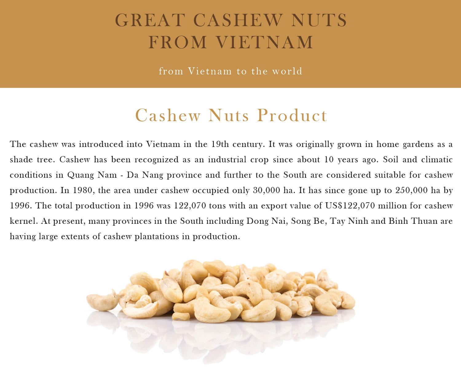 Kaju Nuts Kernels Raw Cashew Nuts W320 Snacks Cashew Nut W180