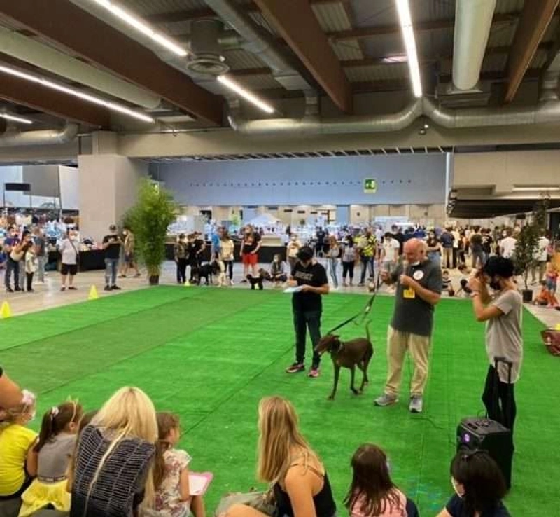 Discover ESOTIKA PET SHOW - BRESCIA: B2B Event Guide - 2