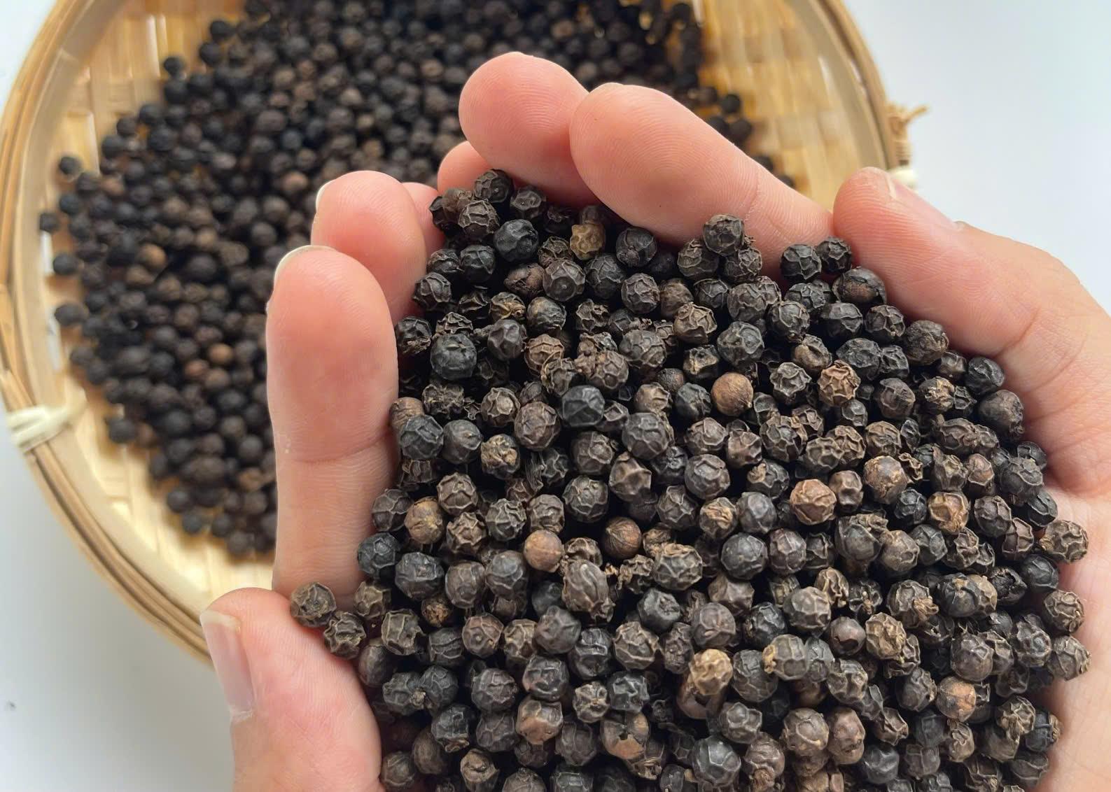 Black Pepper