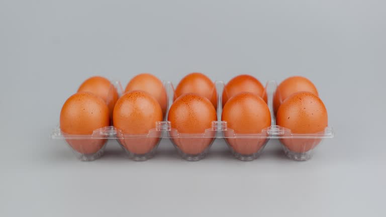 Top 7 Chicken Eggs Suppliers in Portugal in August 2025