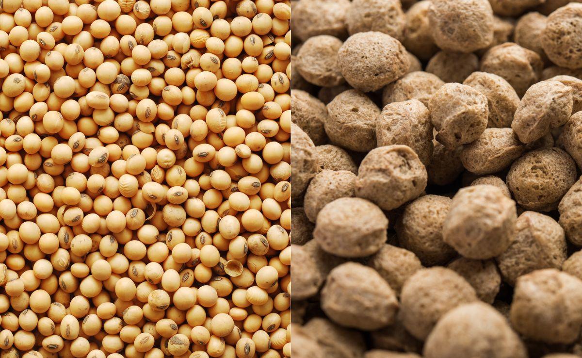 High Protein Fresh Soybean Chunks (TVP) Vegetarian Meat Substitute Water Wholesale Bulk Supplier ISO HACCP Certified