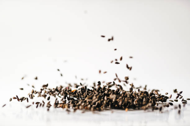 Top 7 Flower Seeds Suppliers in Belgium in Year 2025