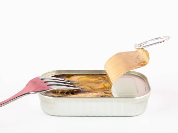 A Comprehensive Guide to Sourcing High-Quality Canned Fish: Top 8 Canned Fish Suppliers in China in Quarter 3 of 2025