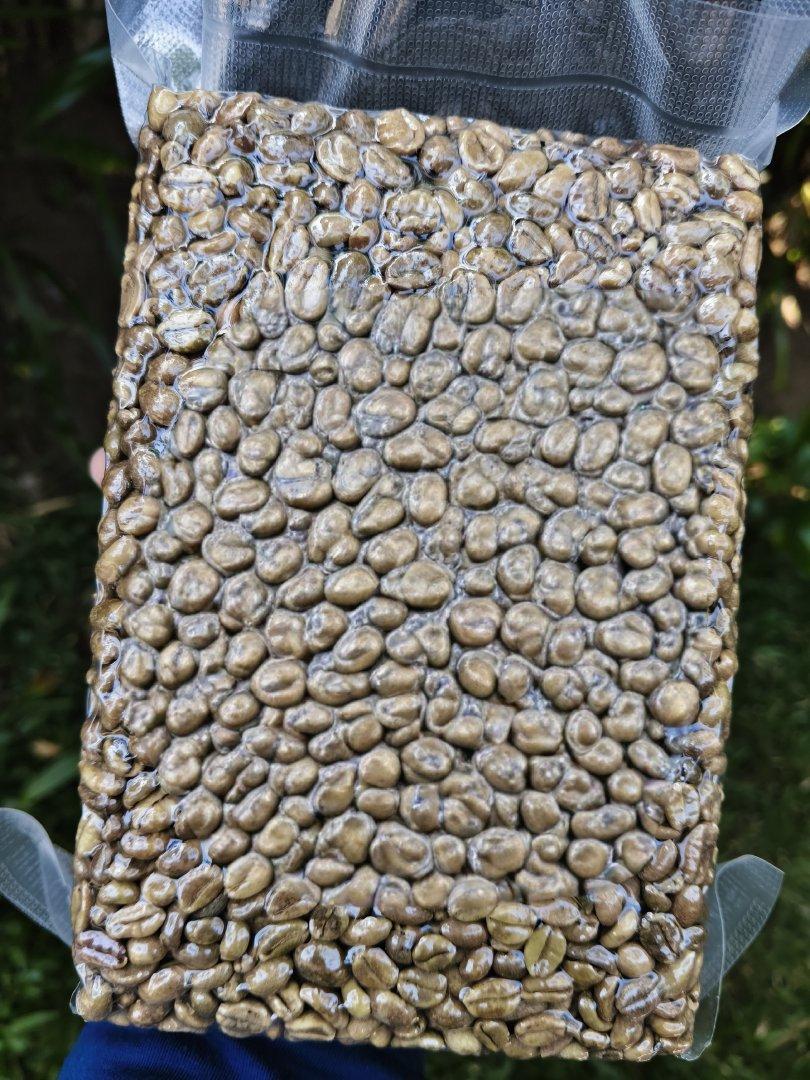 Specialty Coffee Beans